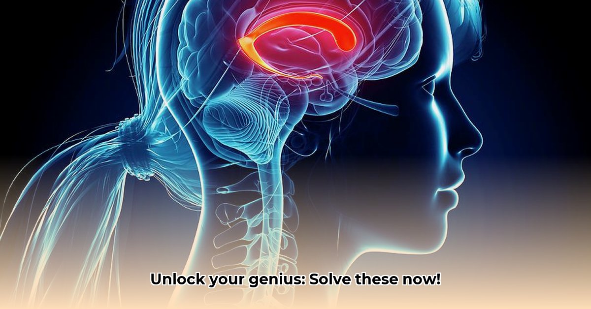 brain-tricky-puzzles